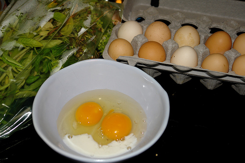 happy eggs with milk and fresh herbs, about to get scrambled... slowly
